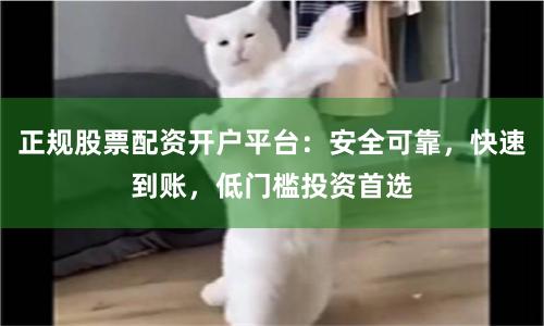 正规股票配资开户平台：安全可靠，快速到账，低门槛投资首选